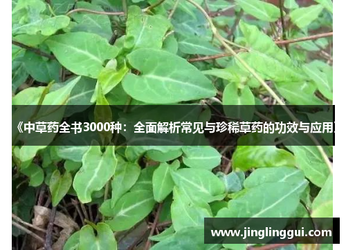 《中草药全书3000种：全面解析常见与珍稀草药的功效与应用》