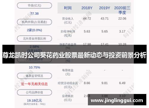 尊龙凯时公司葵花药业股票最新动态与投资前景分析